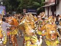 pulikkali-2011 (2)
